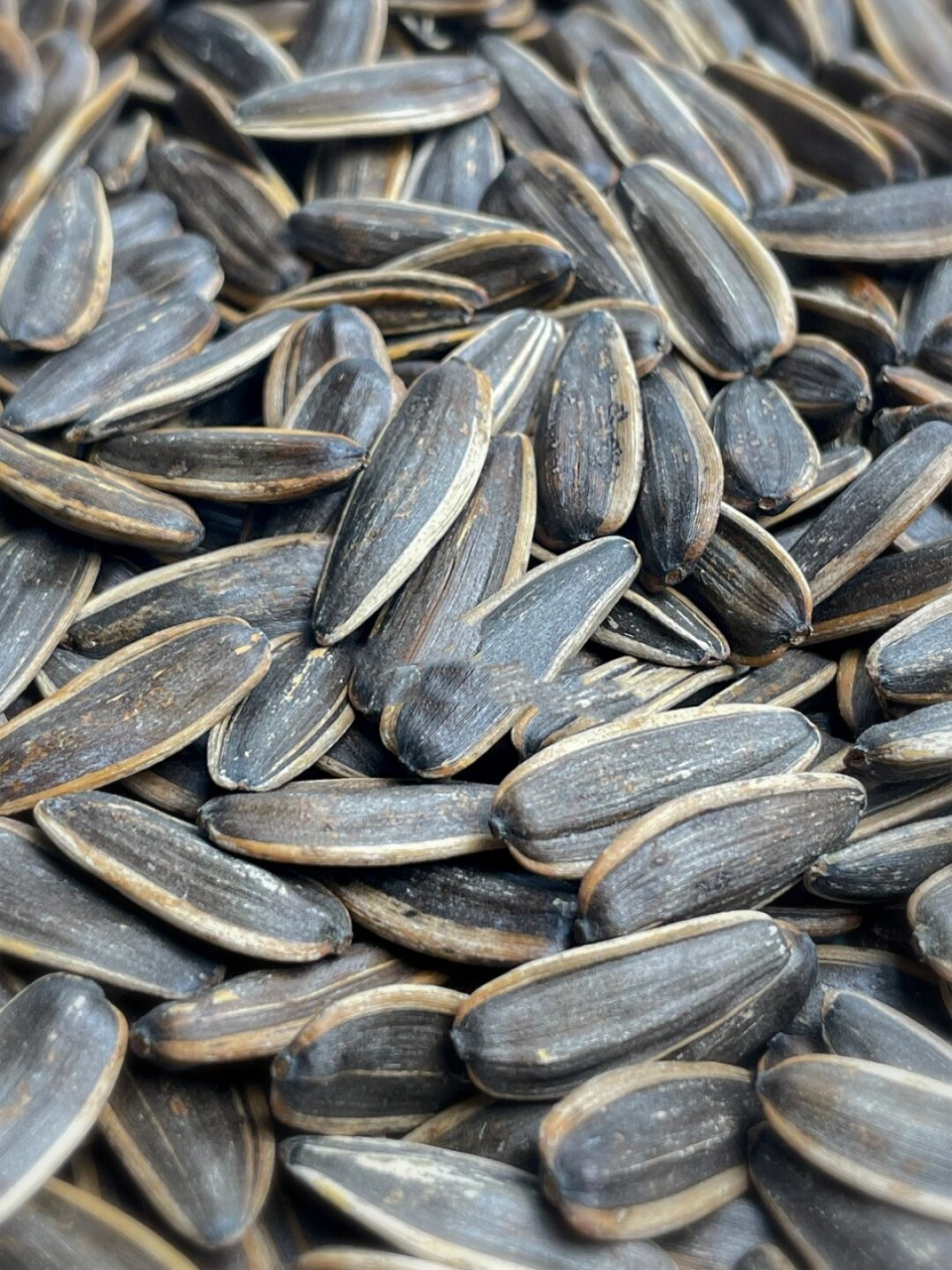 静物摄影:宅家必备零食之香瓜子