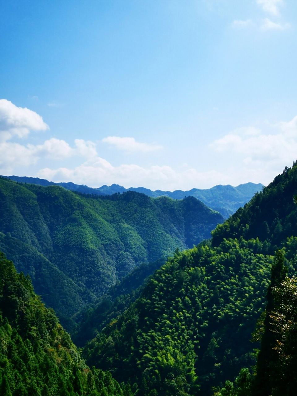 秘境浙江景宁|云中大漈 -小佐村  90探秘云中大漈:浙江海拔之巅的