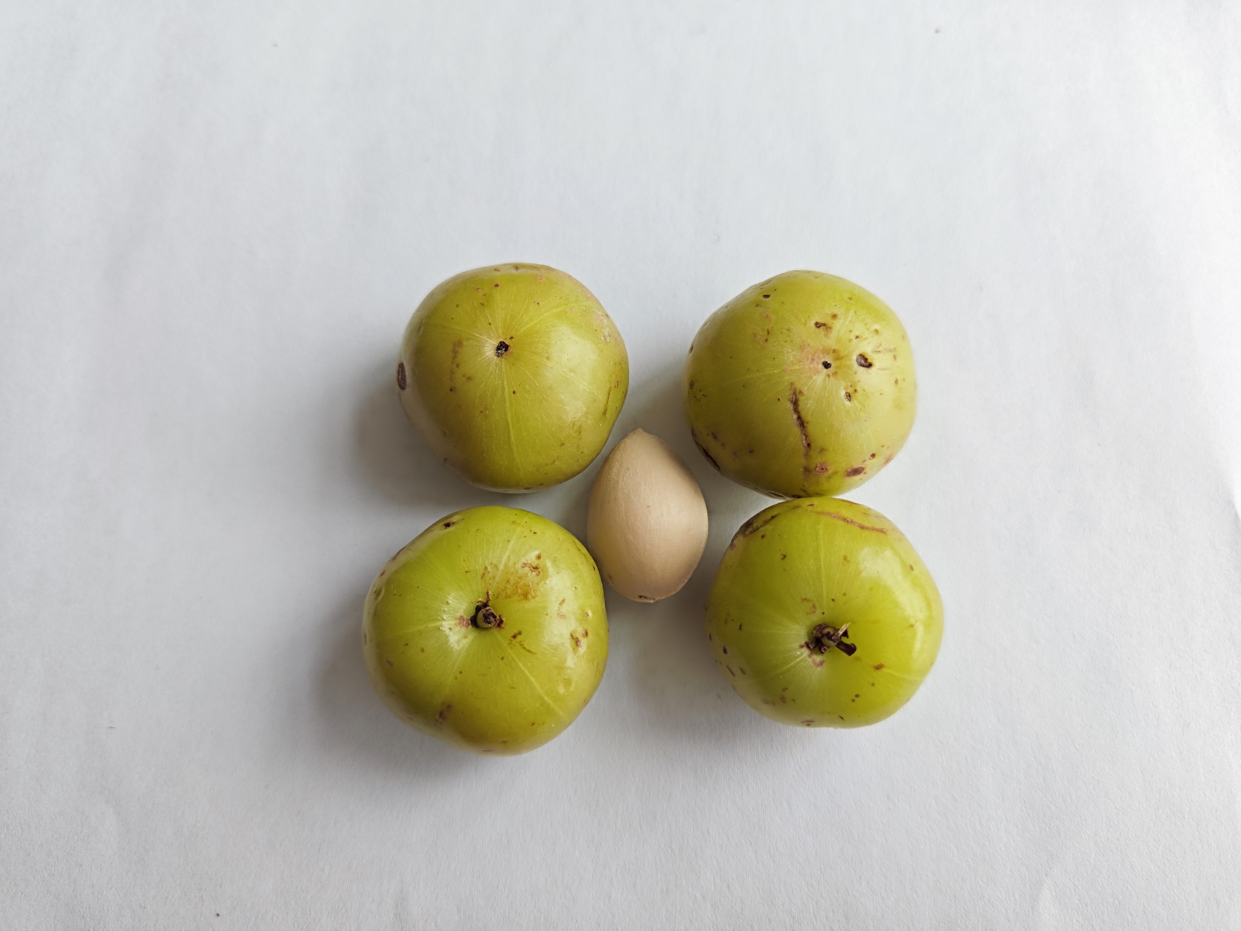 油柑:苦尽甘来,且看小众水果的逆袭之路