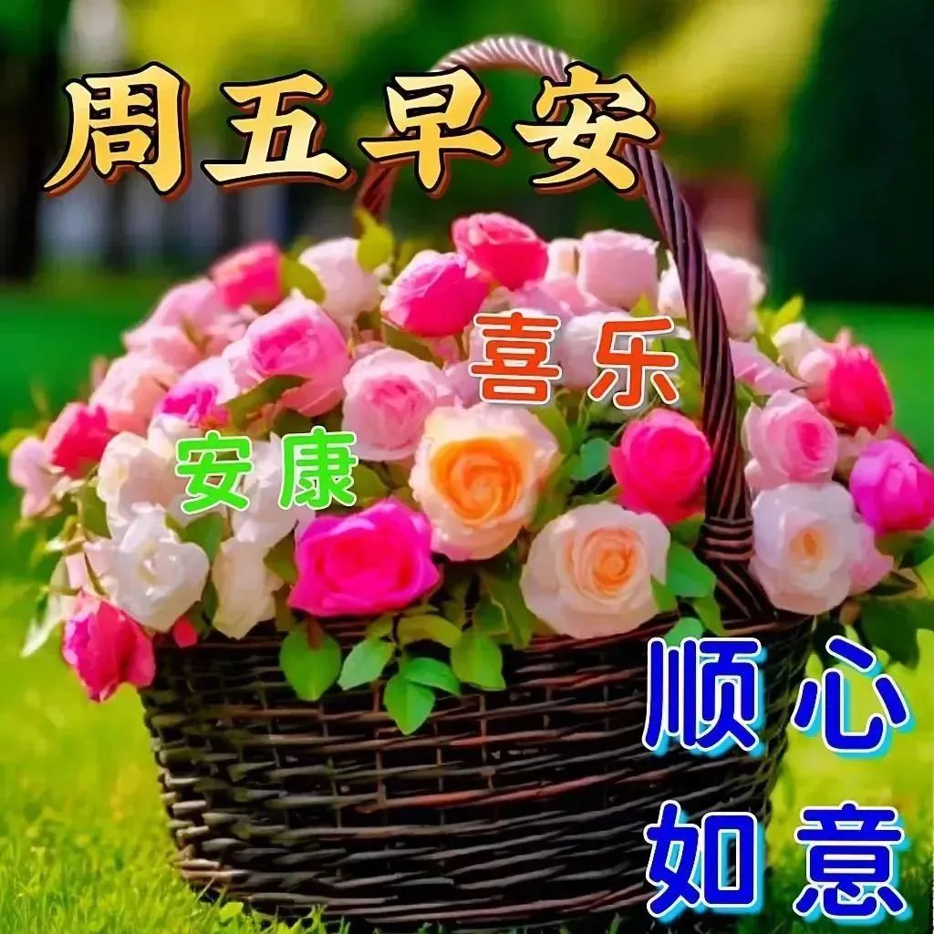 周五早安,帮助别人是一种美德,学习别人是一种智慧