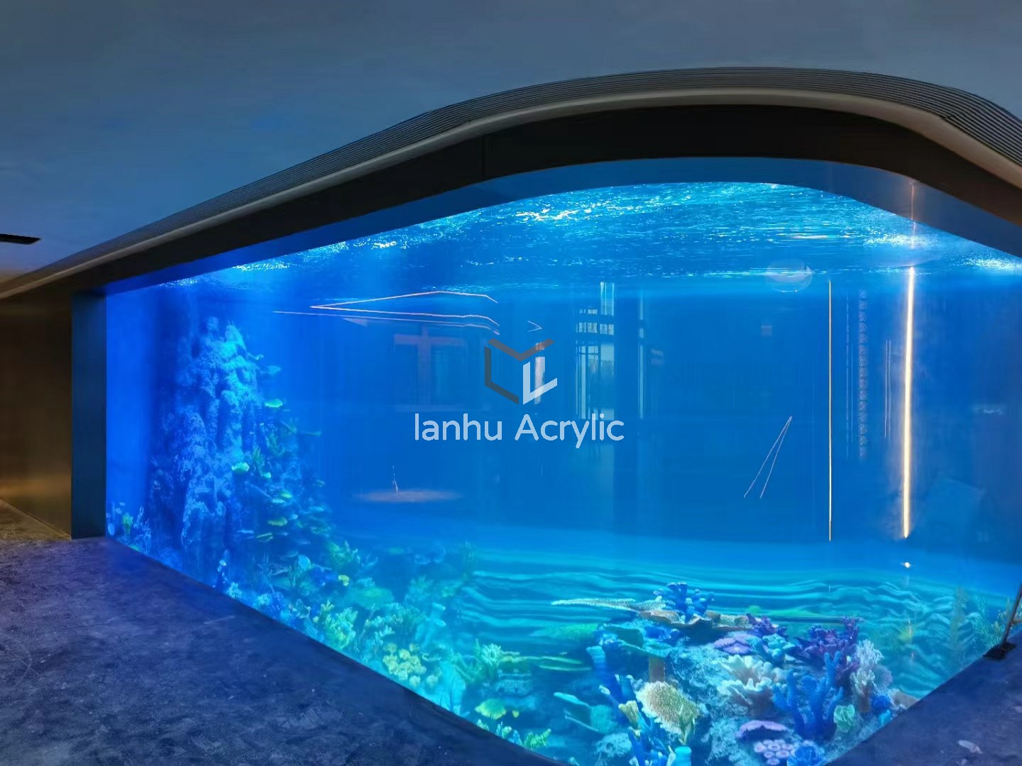 为什么亚克力材质可以做成超大型鱼缸