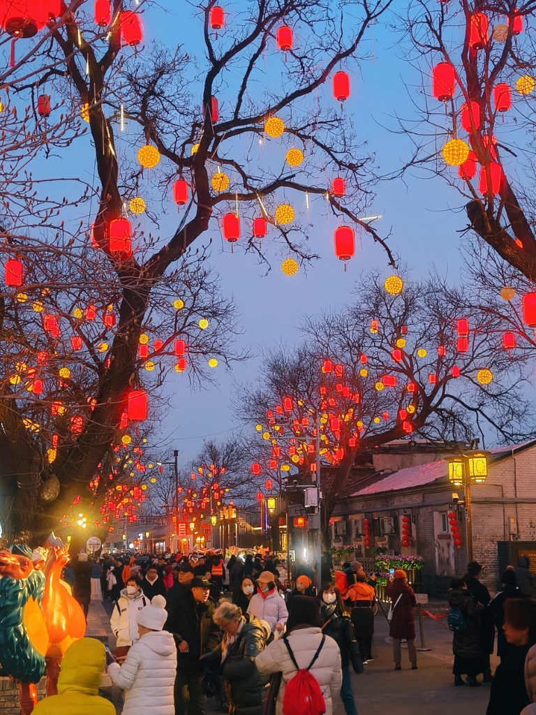 北京元宵节赏灯的景点图片