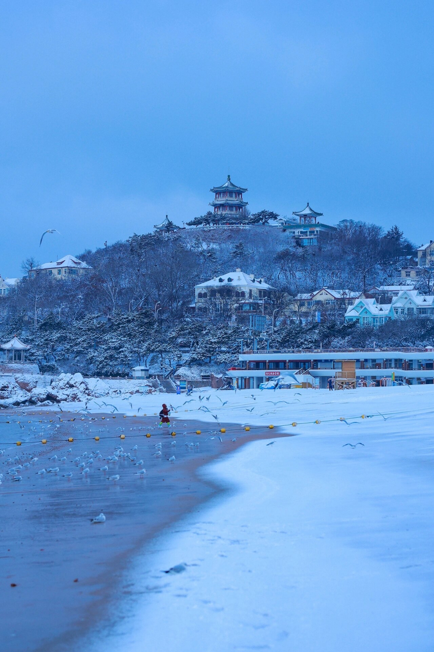 青岛海边雪景图片