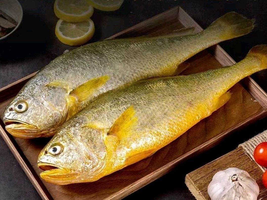宁德大黄鱼来了!言呈食品直播代言,口碑销量一起get!