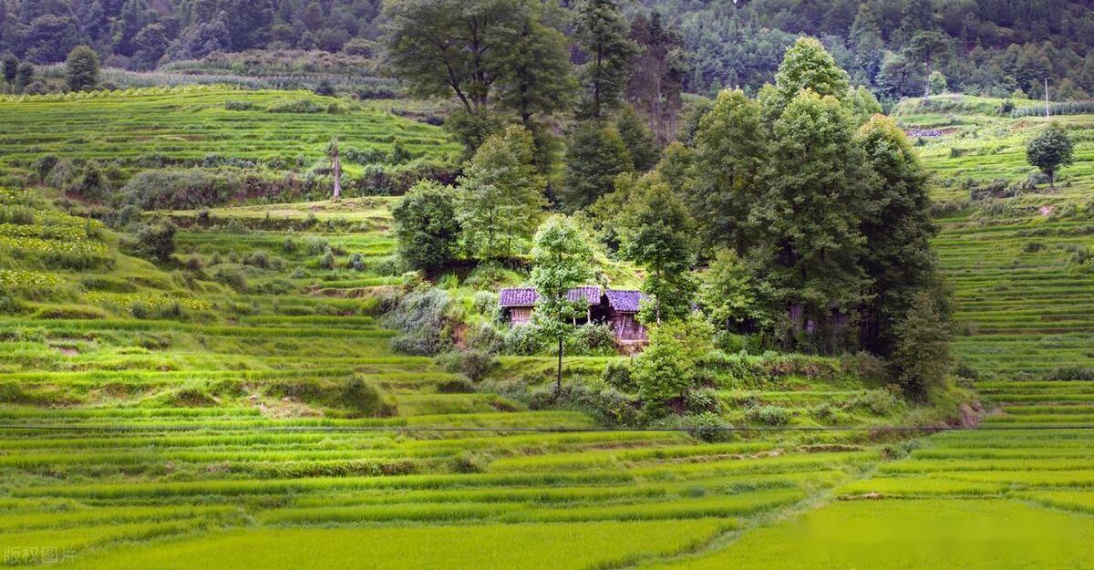 标题:夫妻矛盾延续,亲情重塑