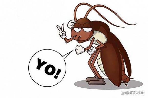 原来"蟑螂"最怕的不是"樟脑丸"?教你个招,蟑螂全体"消失"