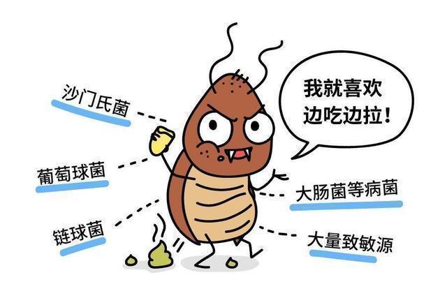 九成人不晓得"蟑螂天敌"是啥:往屋里放1个它,蟑螂就"消失"了