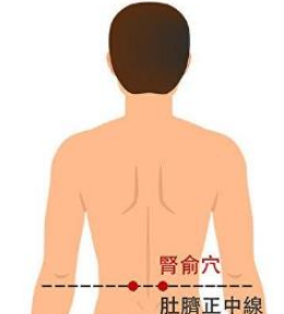 腰夹脊的准确位置图图片