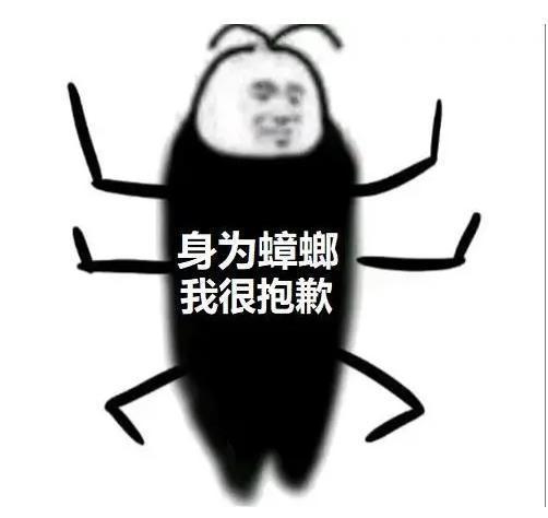 壁纸 昆虫 桌面 502_474