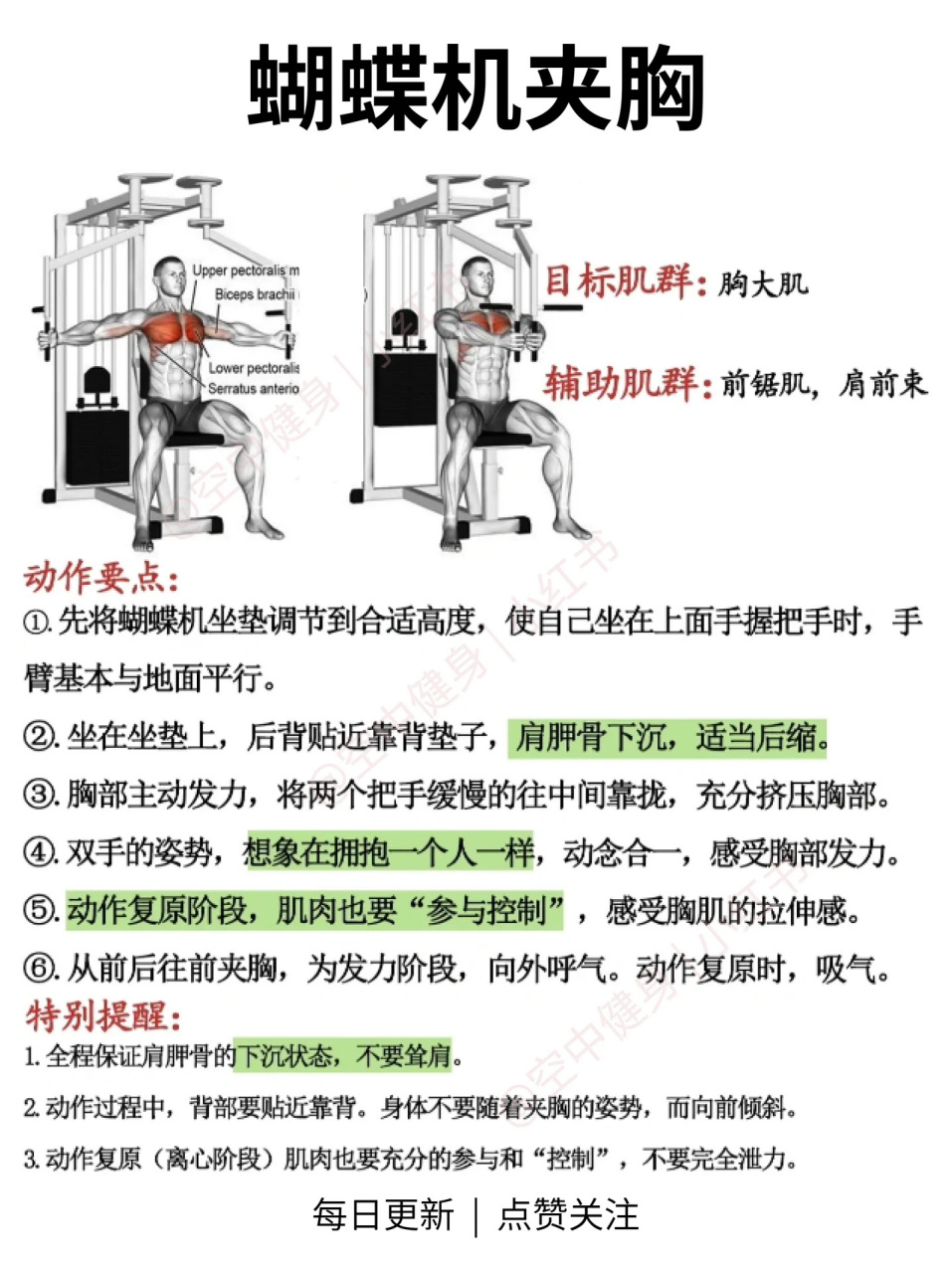 蝴蝶机夹胸 动作要领  94目标肌群:胸大肌 94