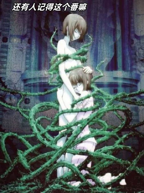 这剧情真是从头到尾高能不断,让人应接不暇!