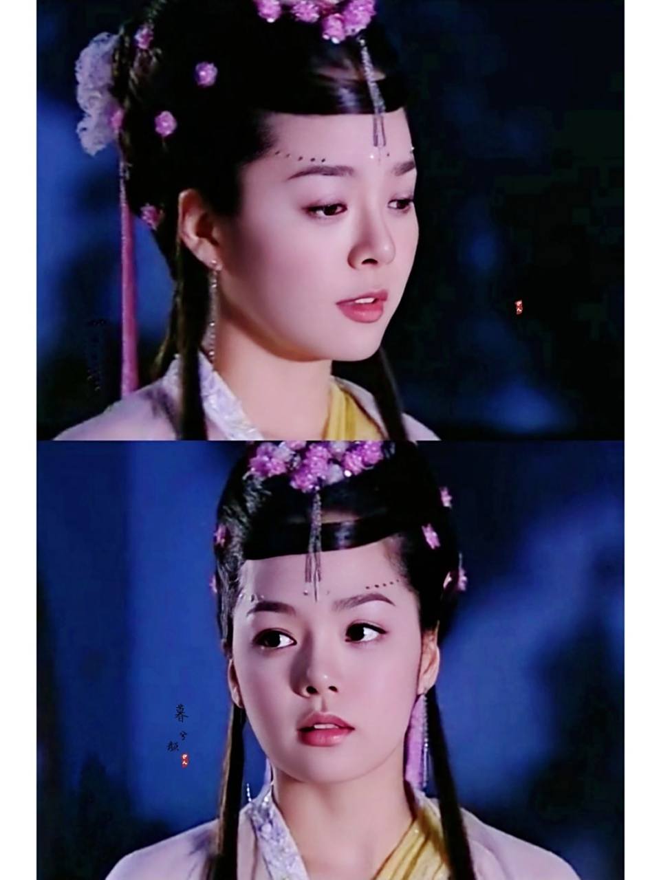 从升平公主到潘语嫣蔡琳的荧幕传奇那些年我们曾为她的笑与泪痴狂