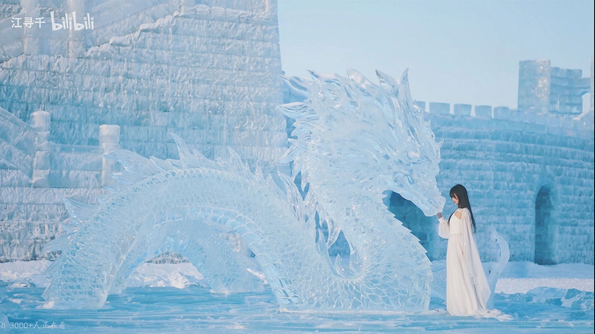 中国冰雪龙腾虎跃图片