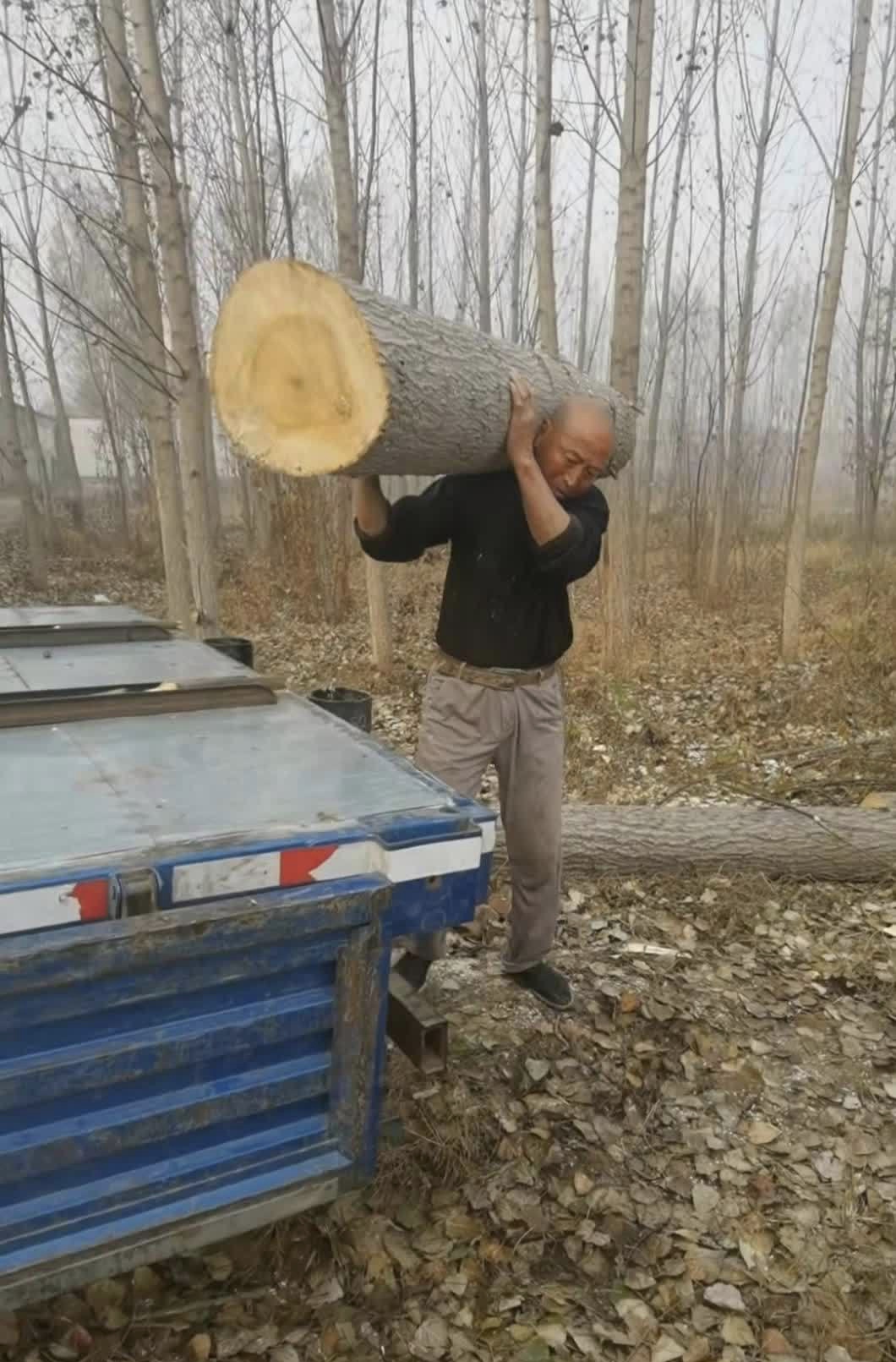 可他竟然毫不费力地一个人就把它扛上车了,这力气也太大了吧!