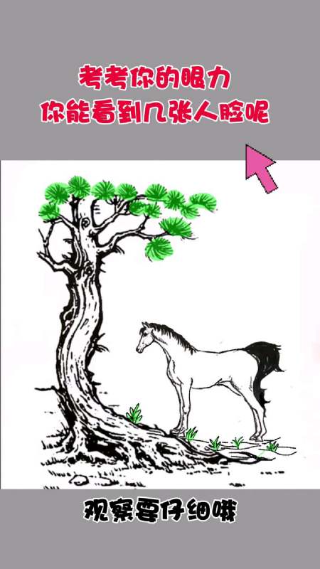 眼力测试你能从图中看到几张隐藏的人脸