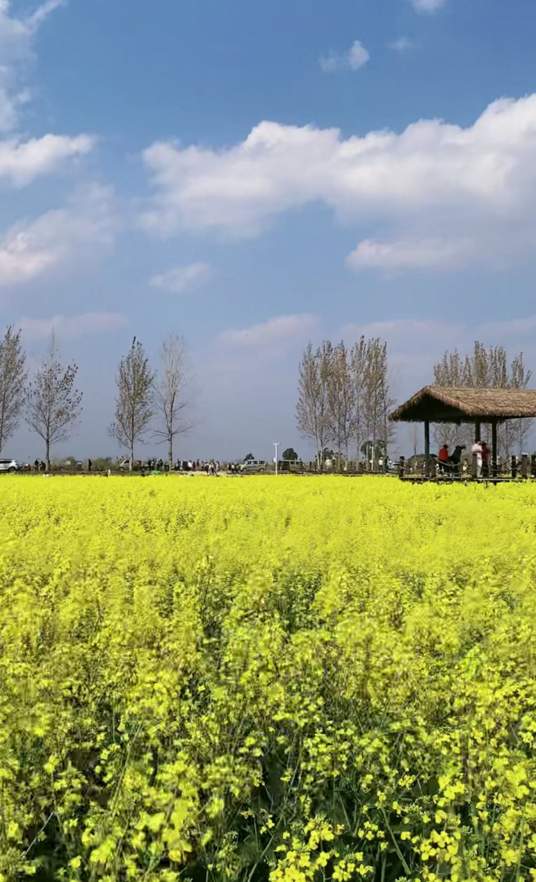 冬日风景# 自给自足,小满而向阳.