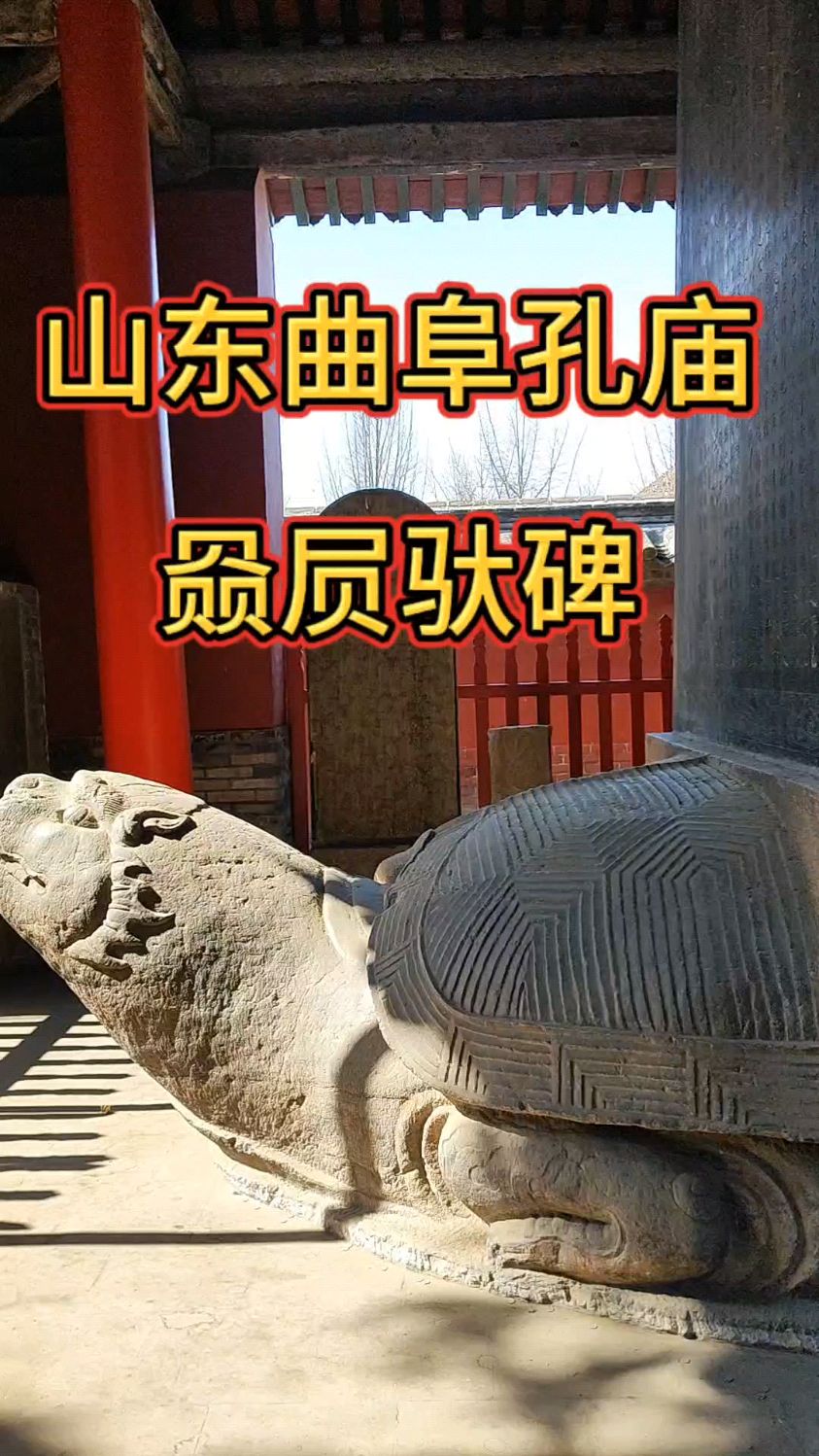 山东孔庙里的赑屃驮碑,令人惊叹