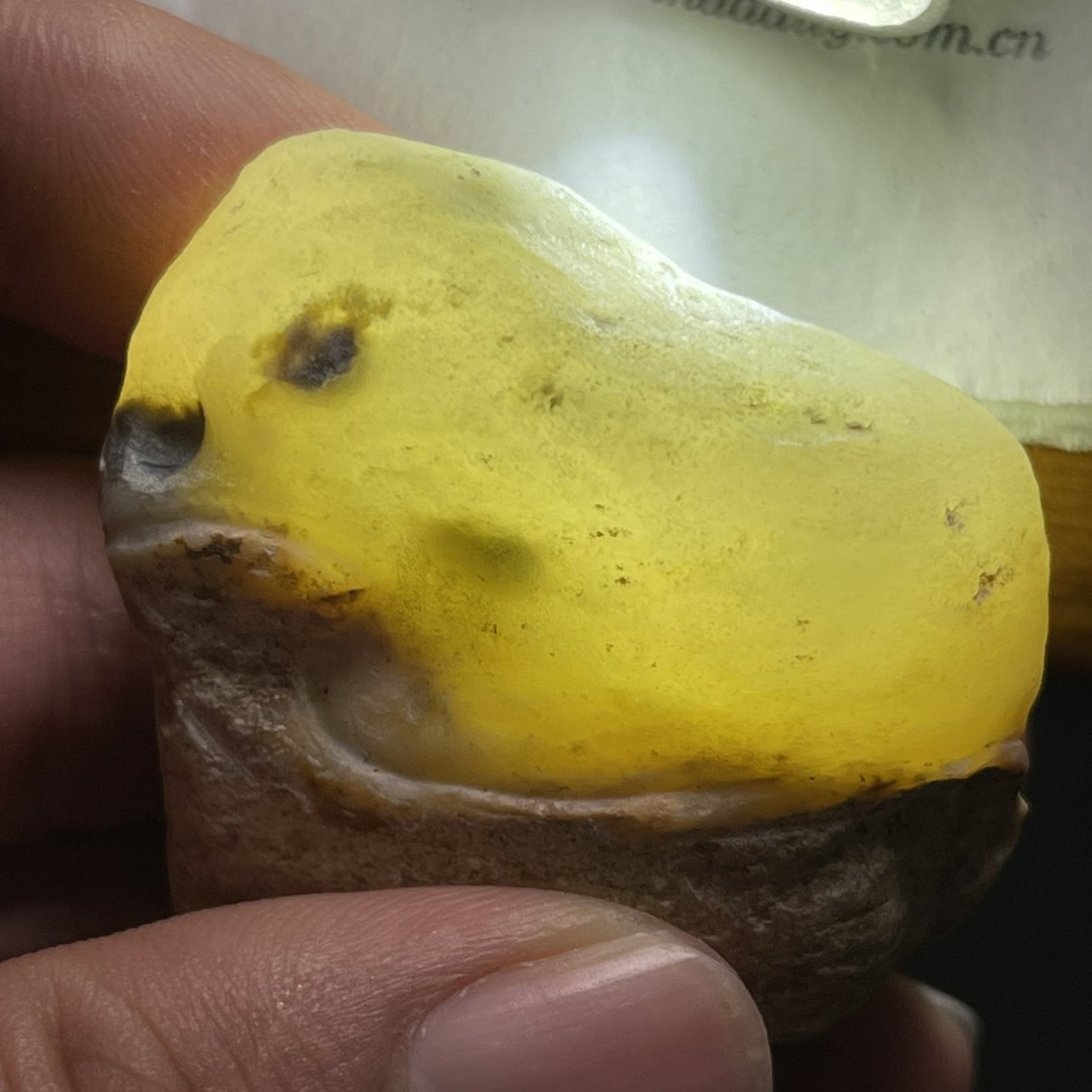 缅甸翡翠原石 天然a货玉石毛料 82克大马坎素白肉挂件手玩件料 #缅甸