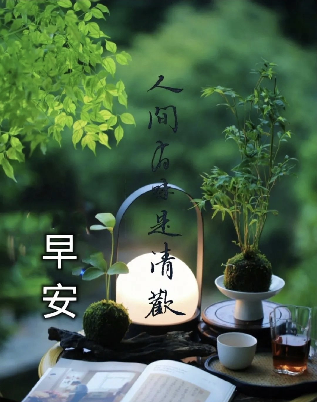 流年素色静守安然终有一束温暖渡世间微凉