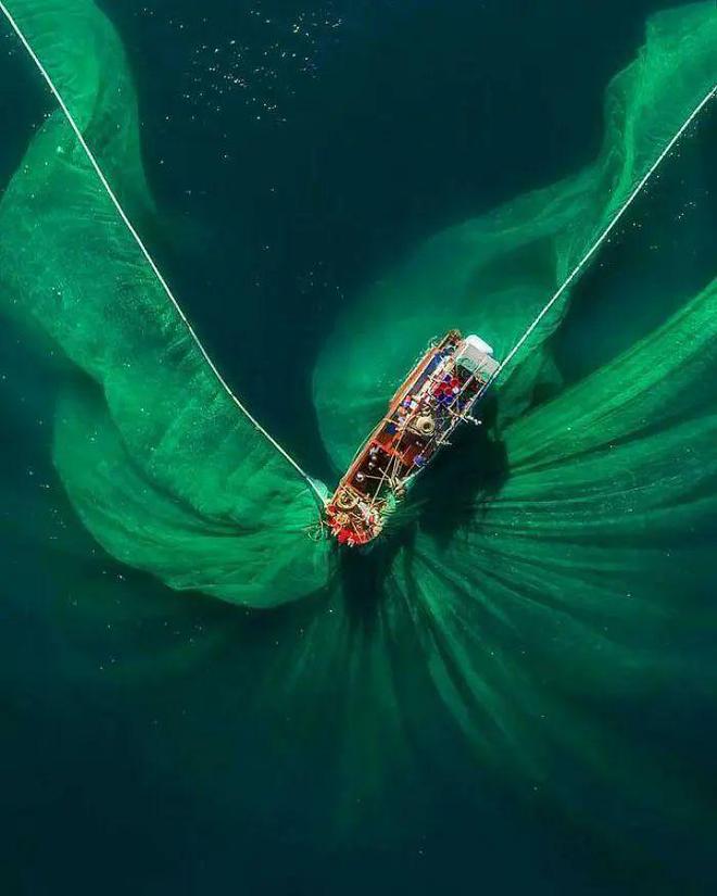 深海惊魂!29张让你心跳加速的"海洋恐惧症"照片