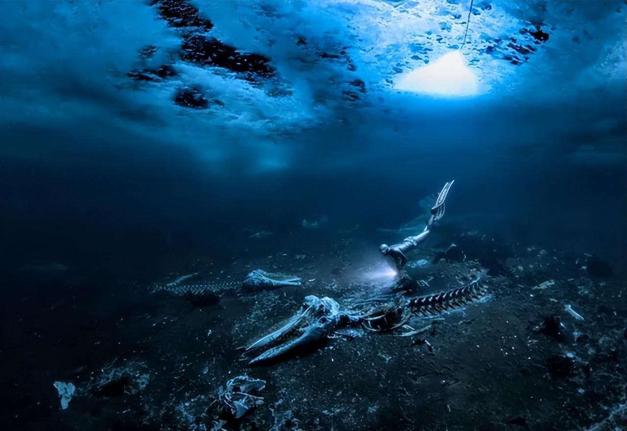 深海惊魂!29张让你心跳加速的"海洋恐惧症"照片