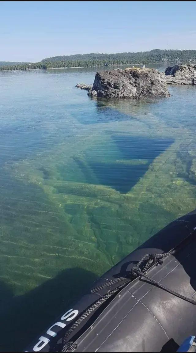 深海恐惧症往下图片