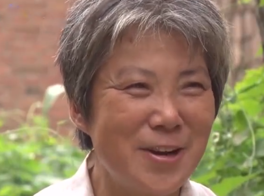 姑姑将洪波接走