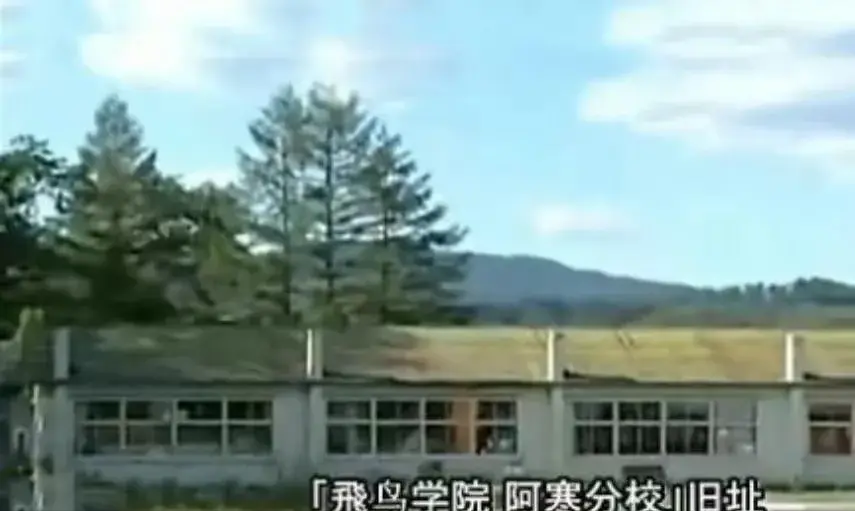 《含泪活着》——丁尚彪