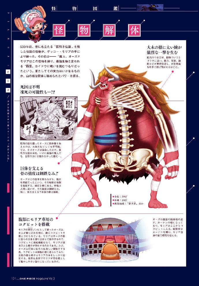 海贼王巨怪解剖图鉴那些拥有惊人尺寸的怪物和身体构造