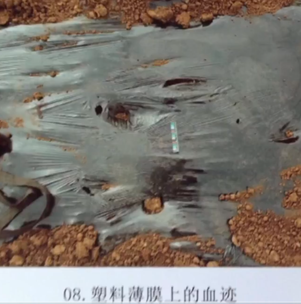 龙中祥直奔坪子村的一处蔬菜水果基地,在那里,他找上了王芬的姐姐王