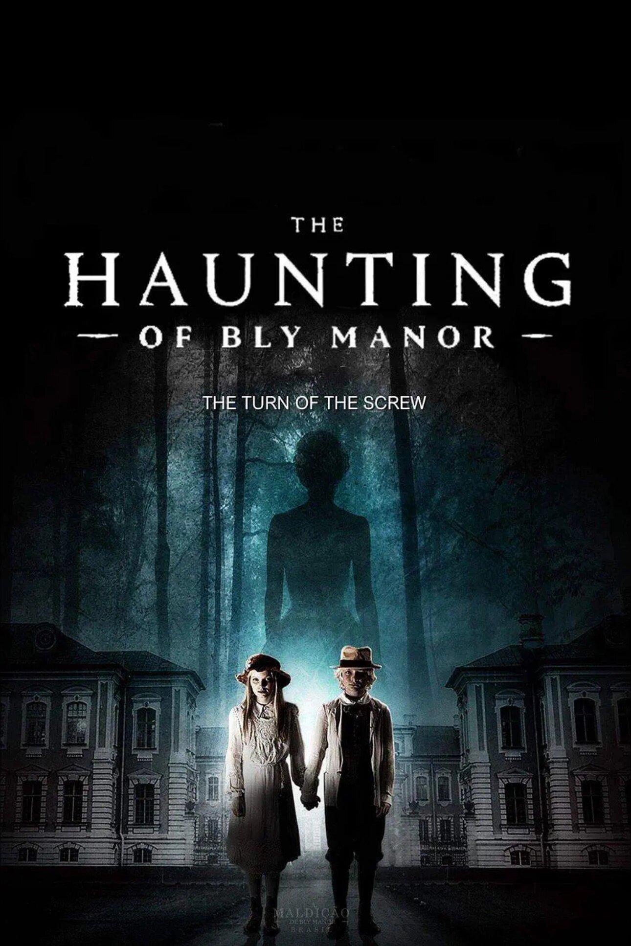 《鬼庄园》:恐惧与秘密的深度交织  大家好,今天我要和你们分享一部让