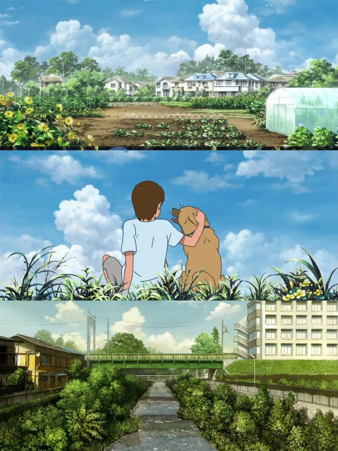 清新治愈《河童之夏》