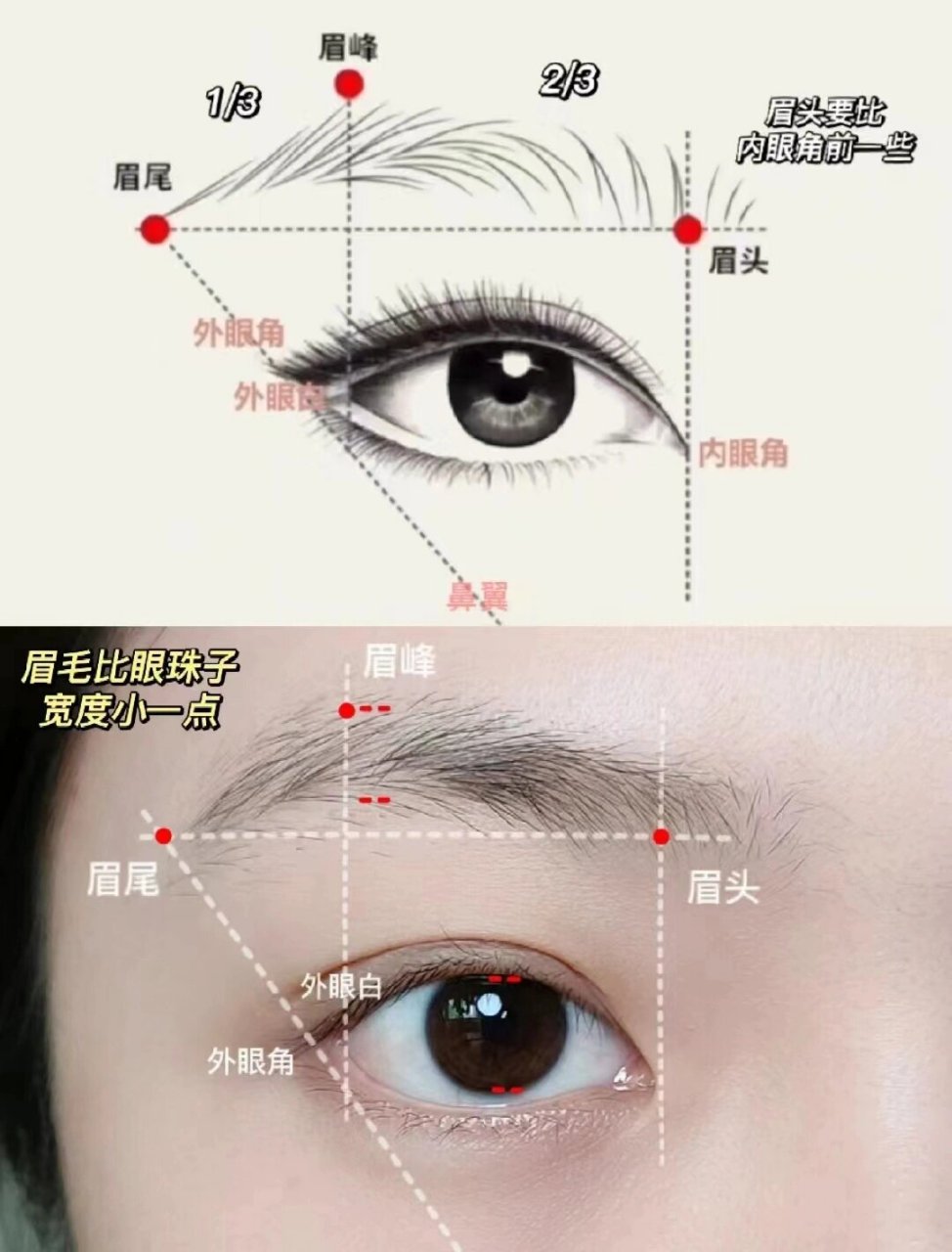 分享一个超级实用的美妆技巧——如何画出一个自然温柔又减龄的眉毛!