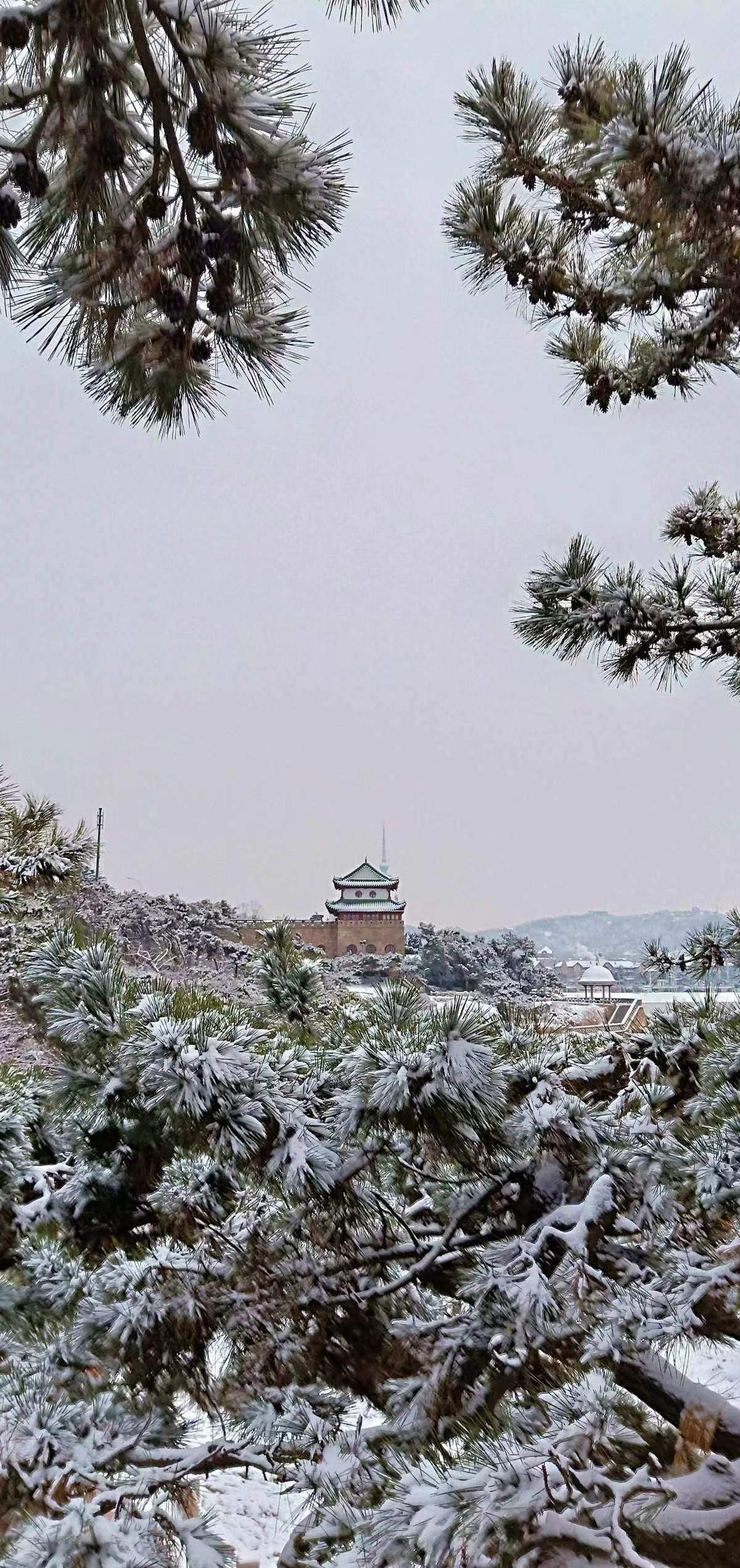观朋友发青岛航拍雪景美图欣咏七律