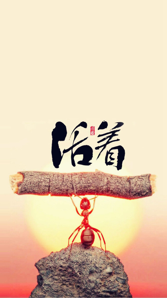 675_1200竖版 竖屏