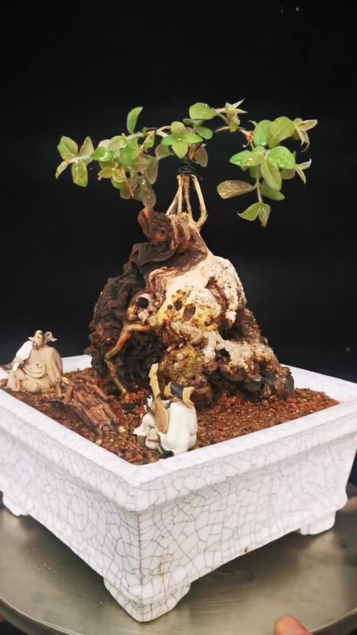 金品爱心果镂空坨坨盆景