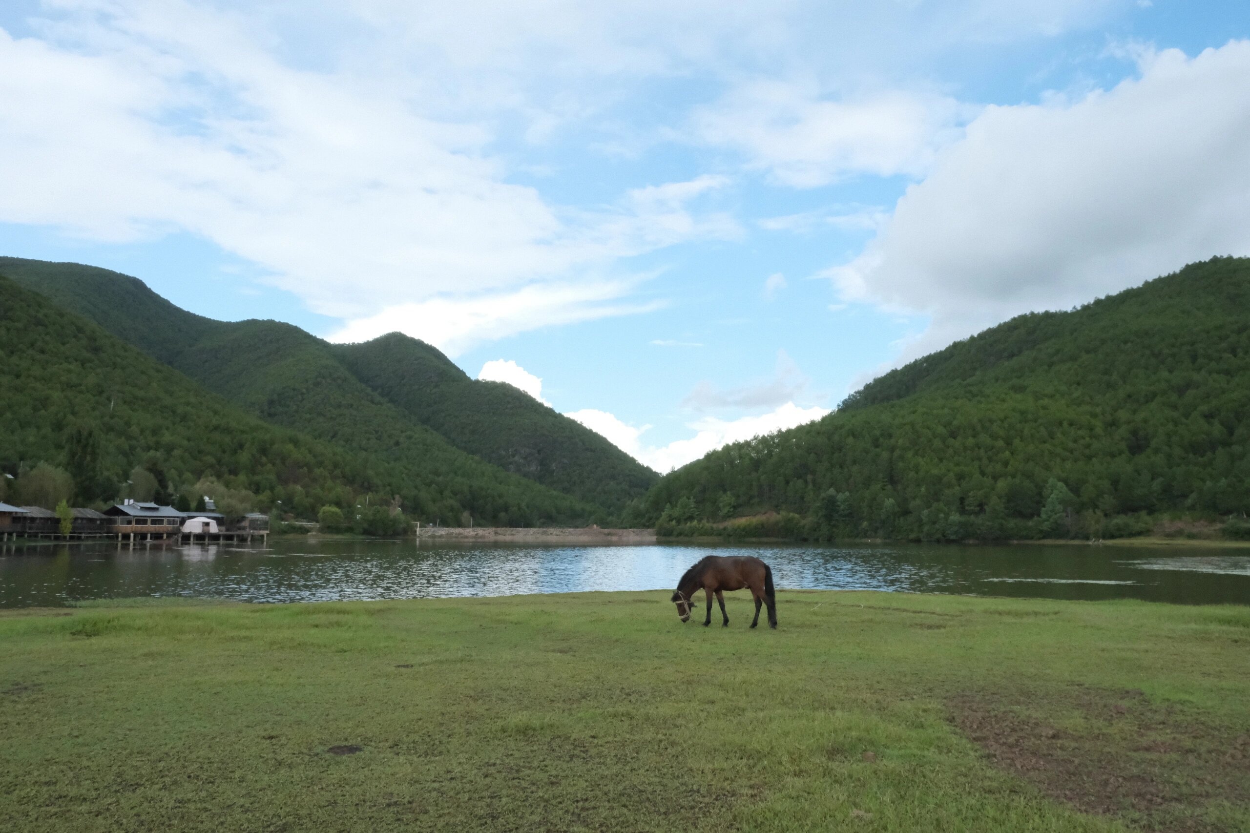 高山草甸美景图片图片