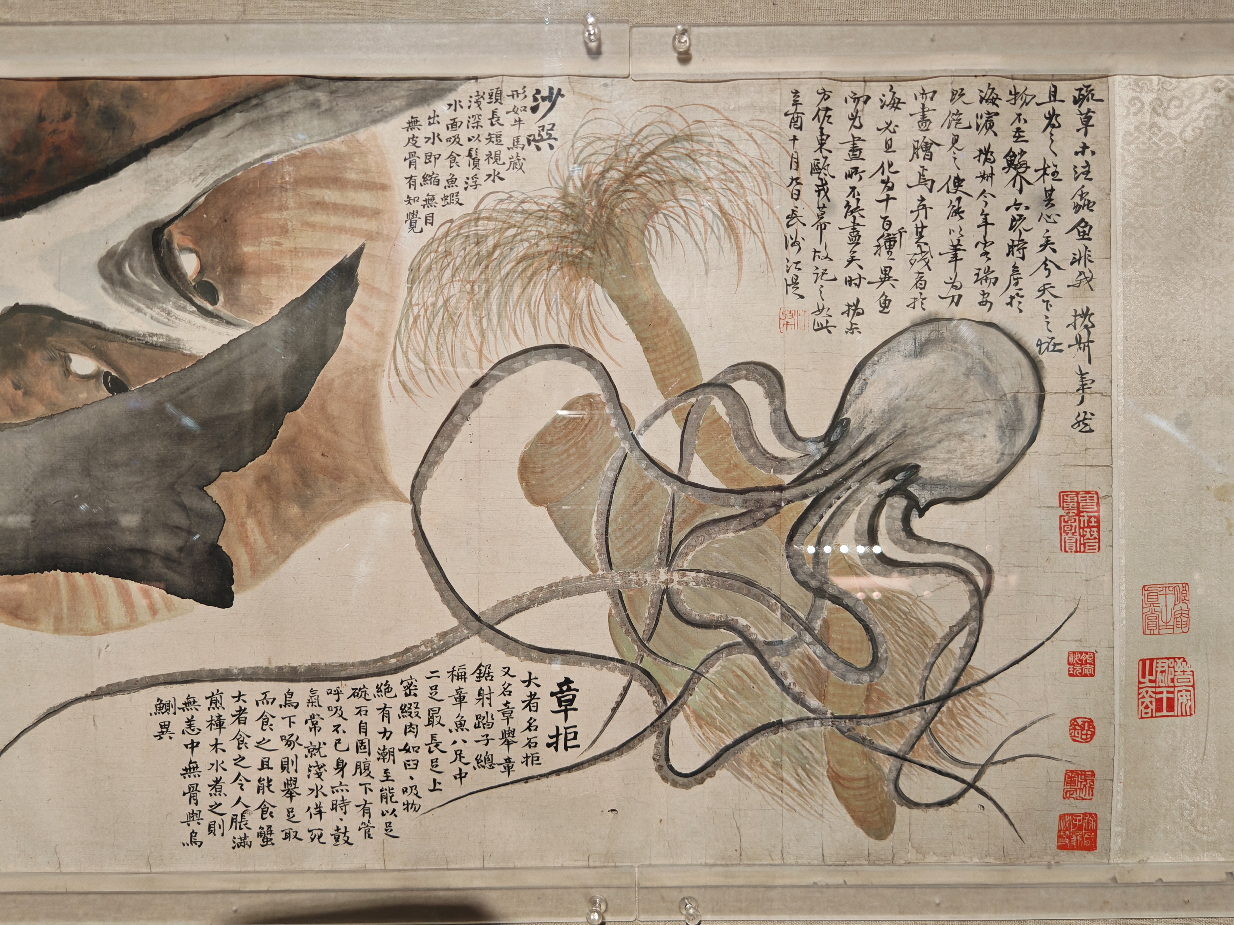 赵之谦特展:异鱼图