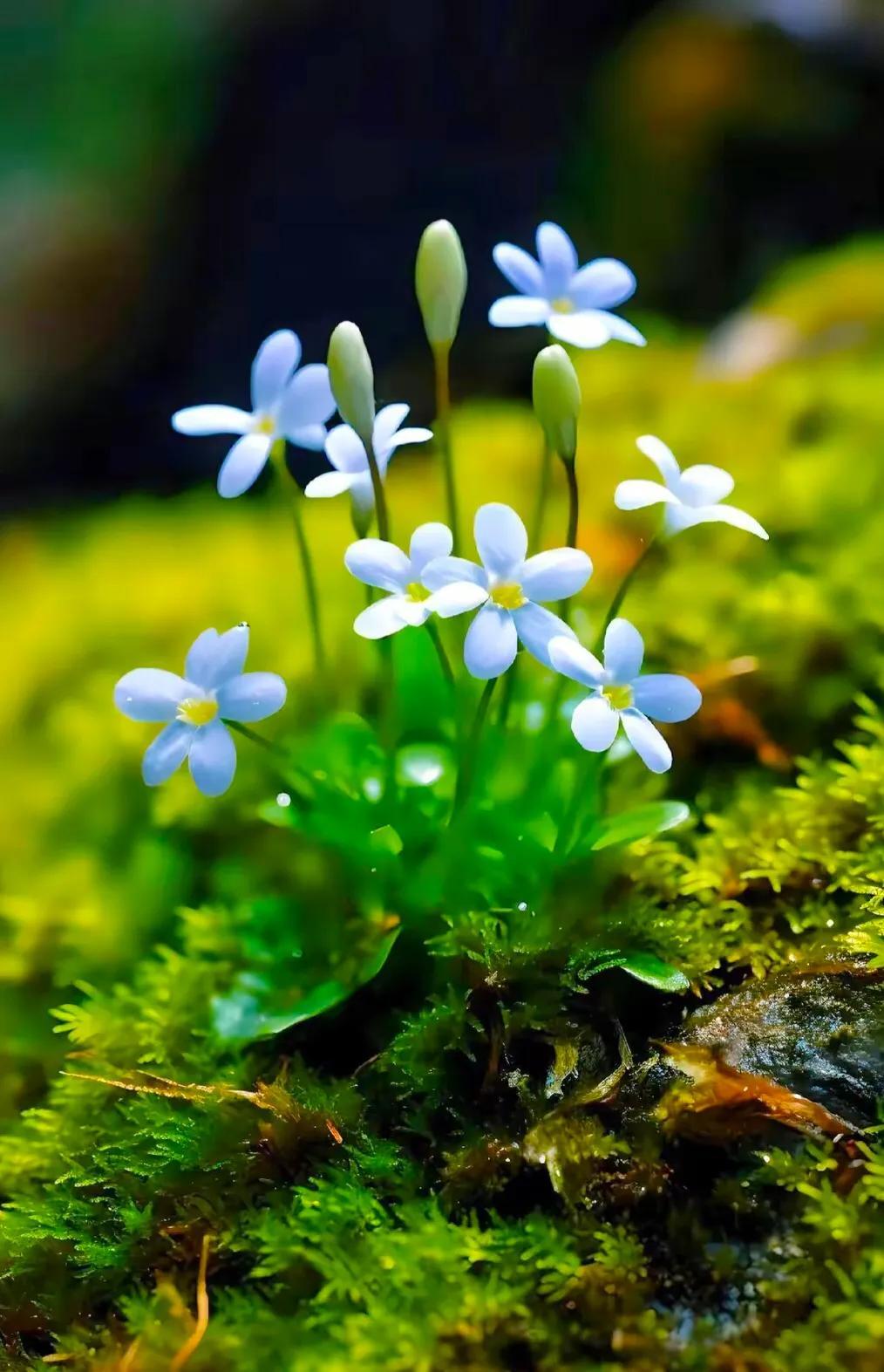 忙时养心,乱时定心,顺时守心