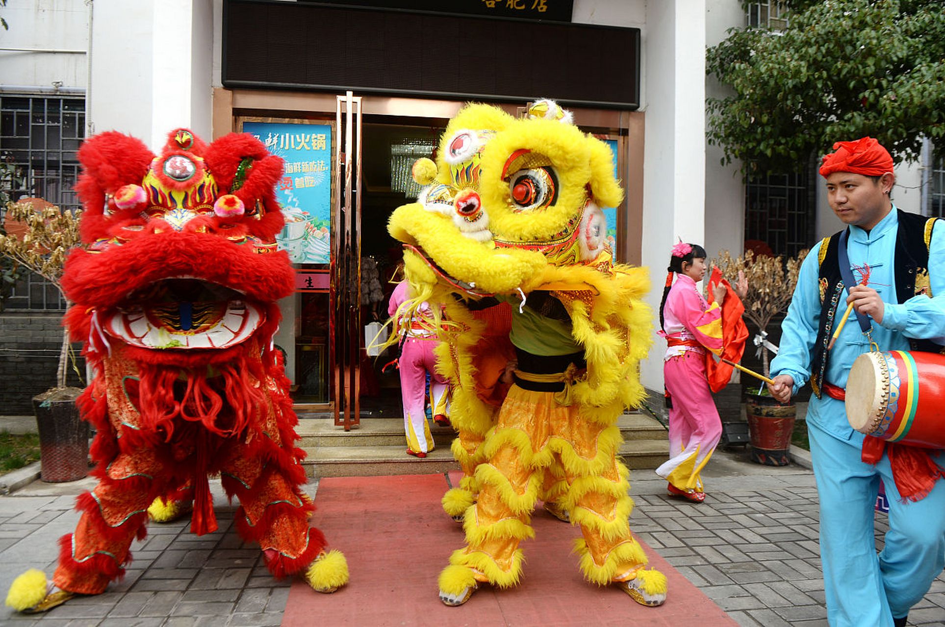广东年初"醒狮采青",接福纳财舞动新春佳节!