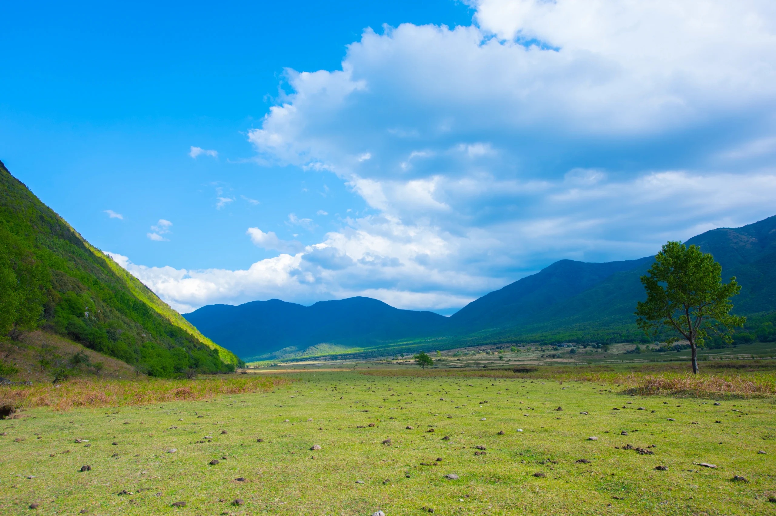 高山草甸美景图片图片