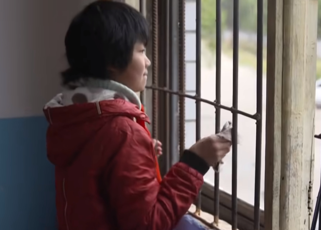 父母非但一次都没有回来看望,甚至连一分钱都没有往家里寄,石凤鸣就