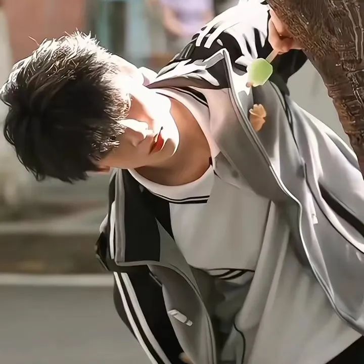 左航头像无水印