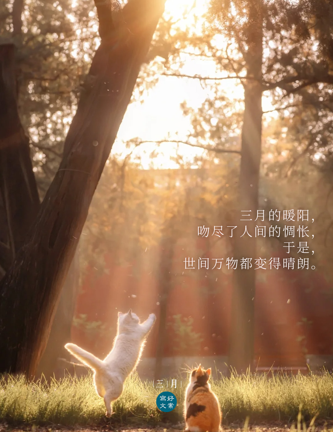 超小众的三月文案惊艳治愈