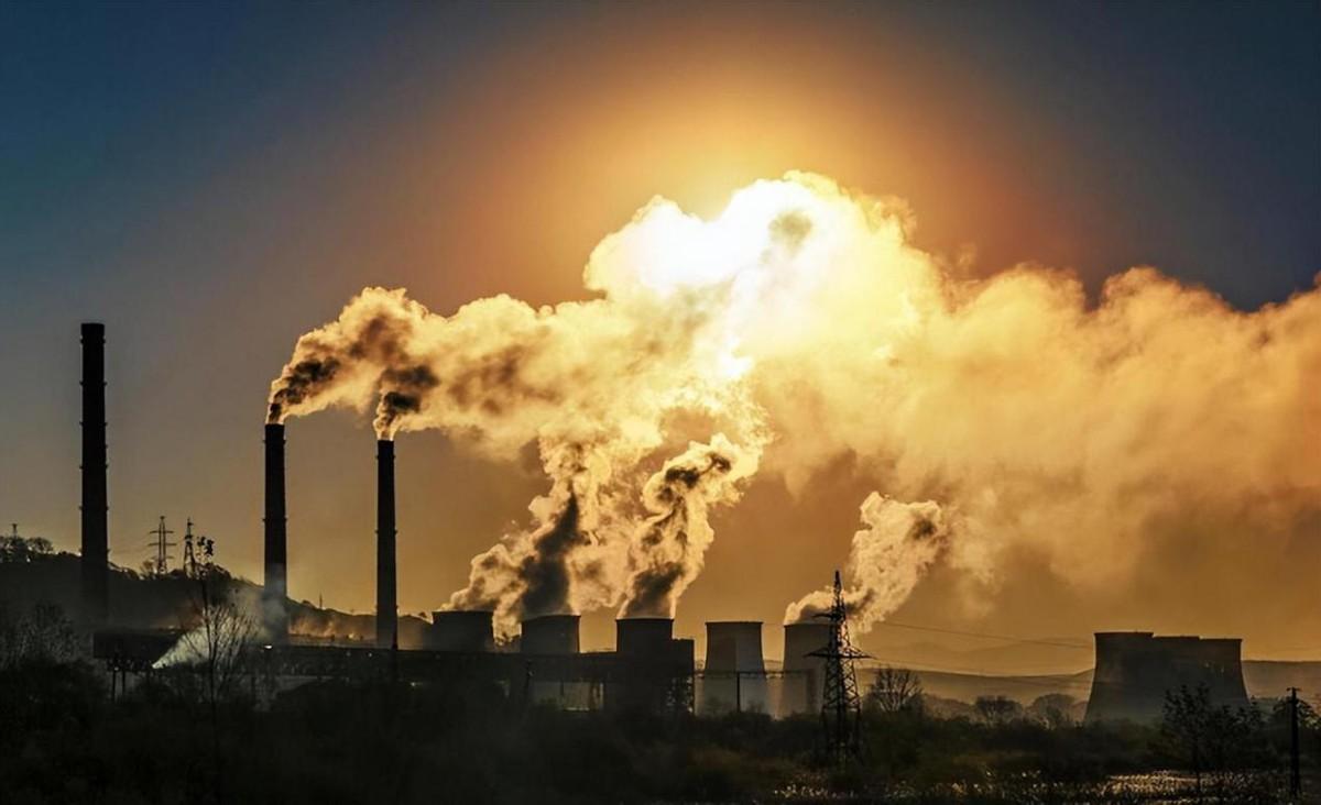 国内最贵的将不是房子车子那是什么东西呢