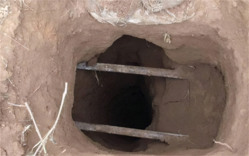 回顾男子挖自家祖坟出土几十件珍贵瓷器以为不犯法结果判死刑