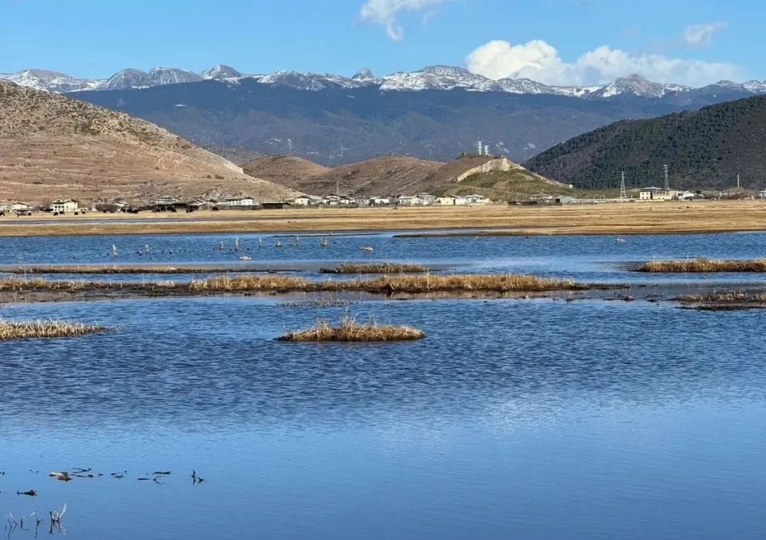 纳帕海海拔图片