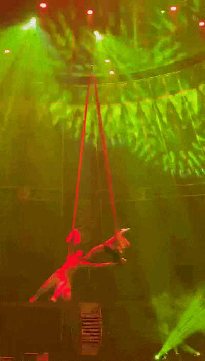 成都二环内居然还能看马戏团