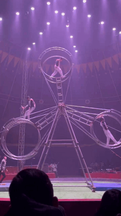 成都二环内居然还能看马戏团