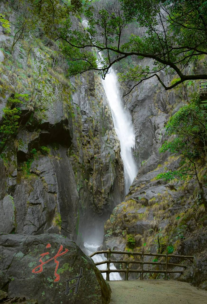 雨后的卧龙谷仿佛人间仙境,云雾缭绕,瀑布水量大增